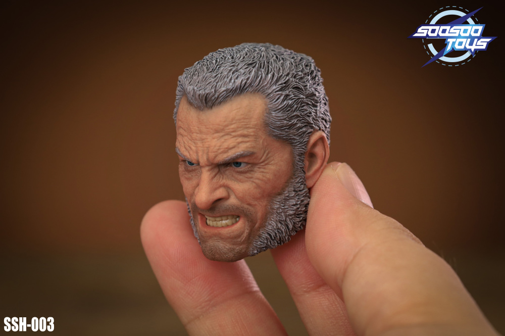 In Stock SOOSOOTOYS 1/6scale collectible SSH-003:Old Logan