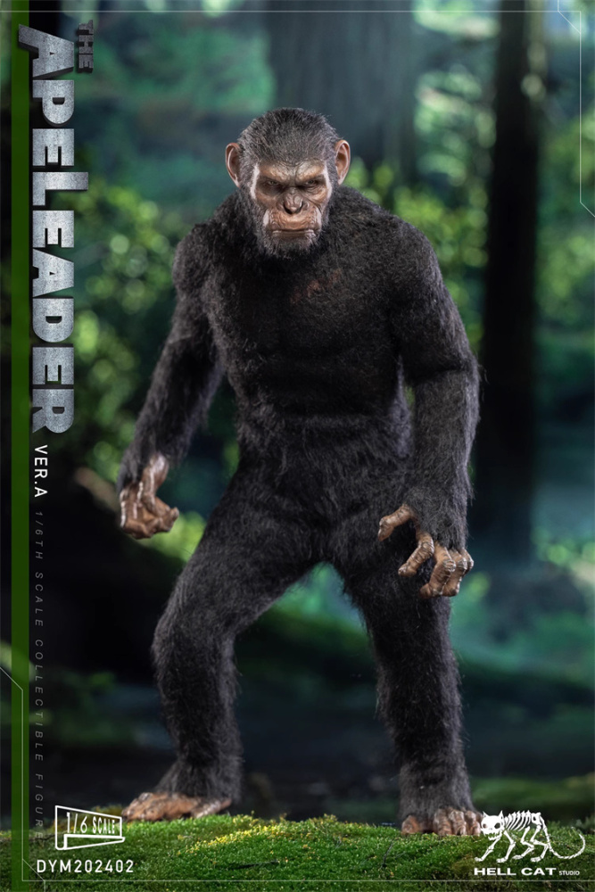 Pre-order Hellcat DYM202402ABC 1/6 Scale Ape Leader