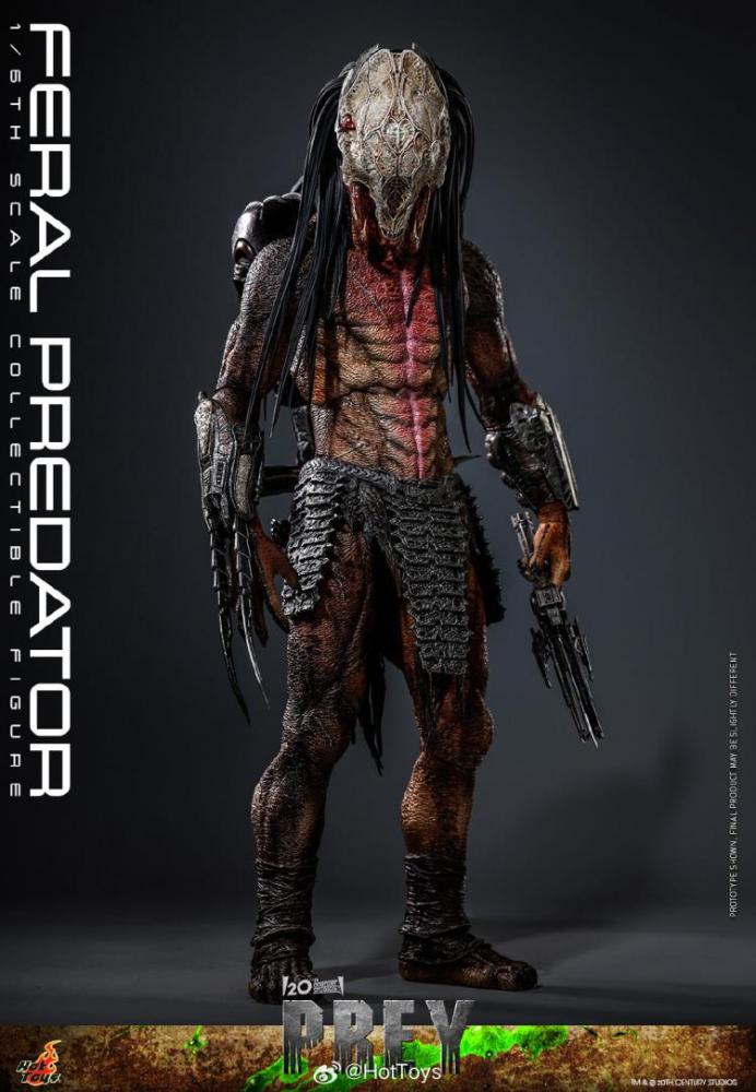 In Stock Hot Toys TMS114 The Prey Feral Predator 1/6 Scale Collectible Figure