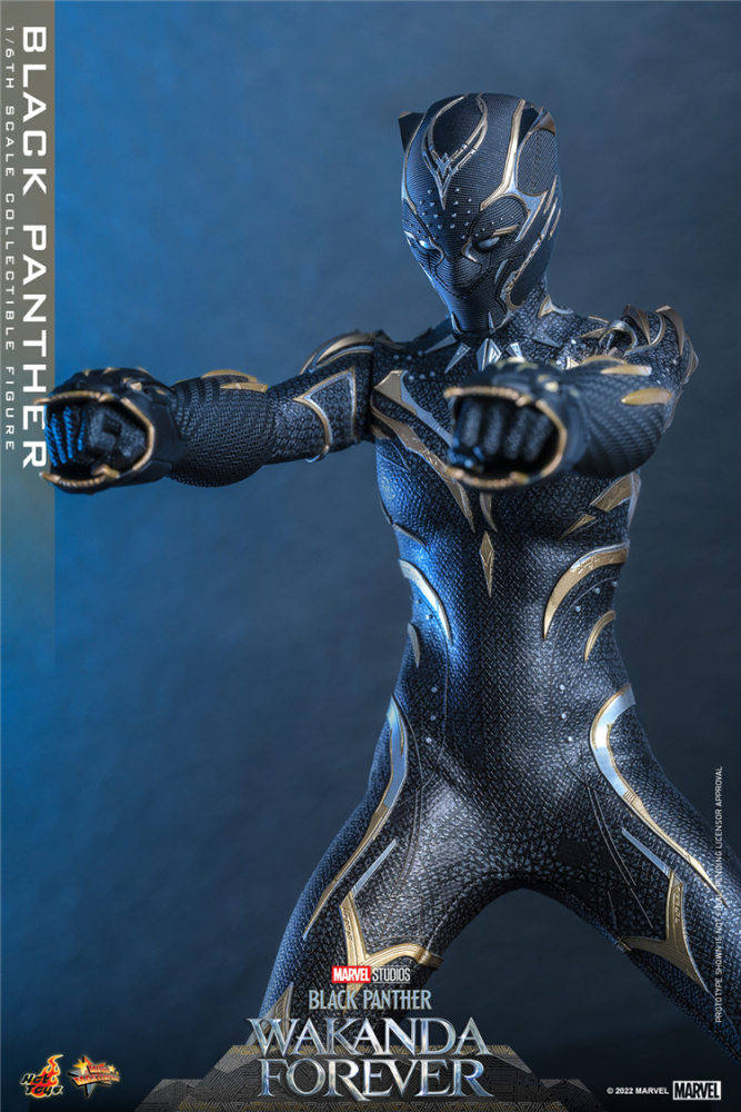 In Stock New Hot Toys MMS675 WAKANDA FOREVER 1/6 BLACK PANTHER ACTION FIGURE