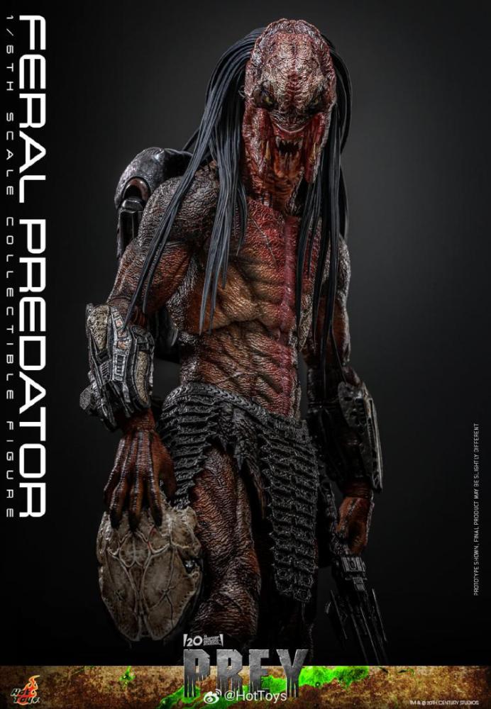 In Stock Hot Toys TMS114 The Prey Feral Predator 1/6 Scale Collectible Figure