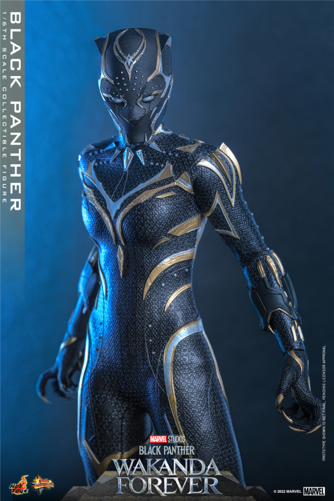 In Stock New Hot Toys MMS675 WAKANDA FOREVER 1/6 BLACK PANTHER ACTION FIGURE