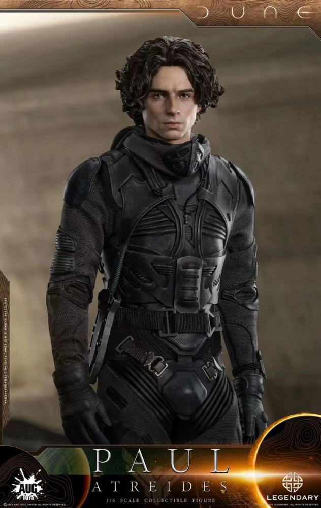 [Pre-order]AUG TOYS DL003 1/6 Dune Paul Atreides Chalamet 12" Male Action Figure