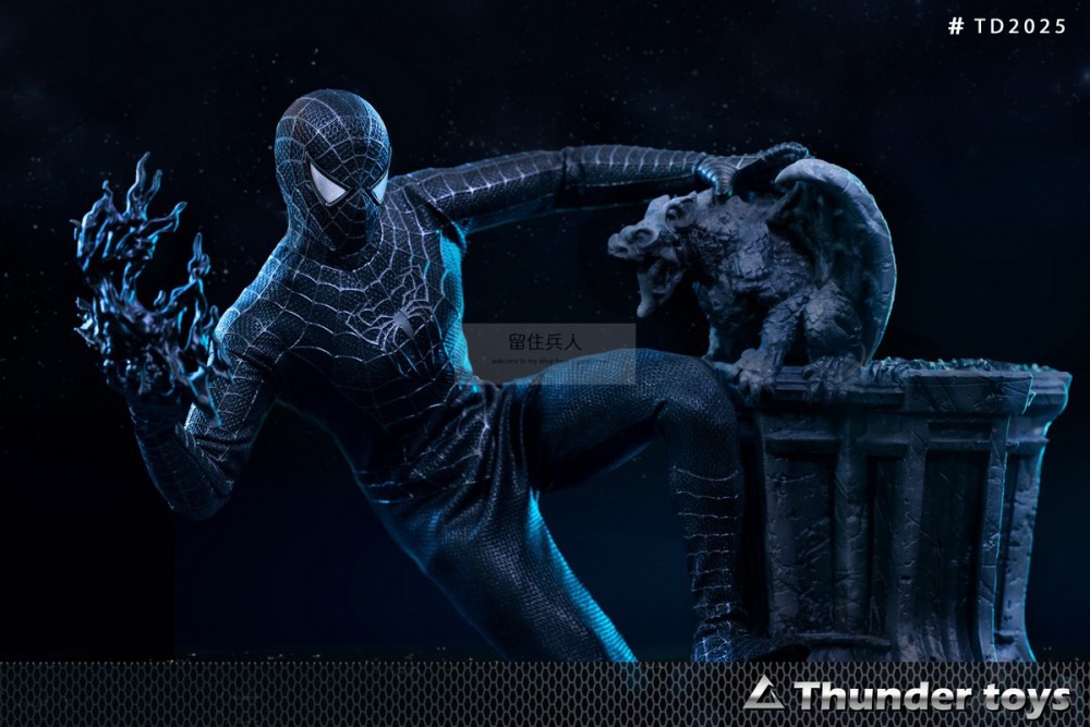 In Stock Thunder Toys TD2025A 1/6 Variant Black SpiderMan 12" Action Figure Male
