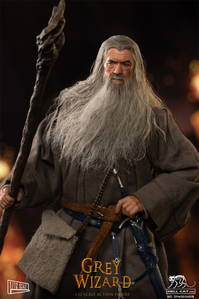 In Stock Hell Cat 1/12 Grey Wizard Action Figure (DYM202401A/B/C)