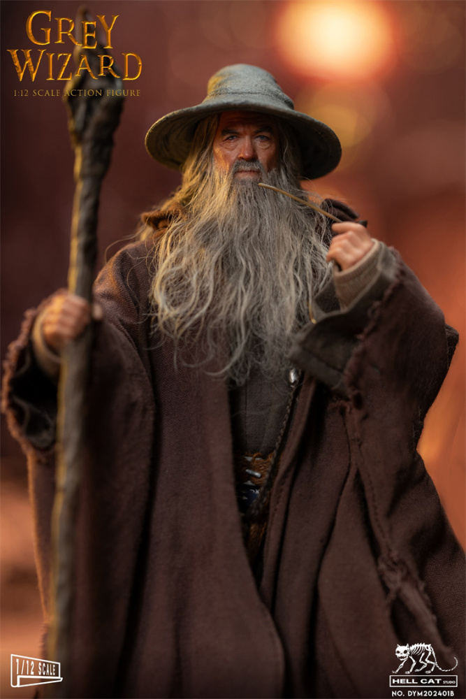 In Stock Hell Cat 1/12 Grey Wizard Action Figure (DYM202401A/B/C)