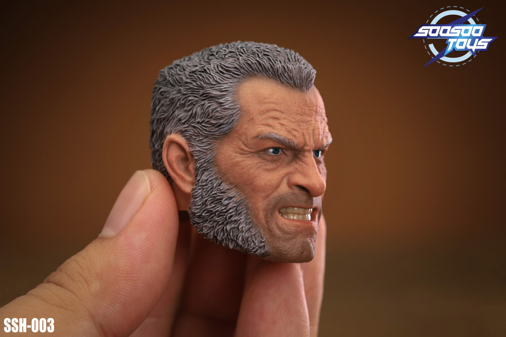 In Stock SOOSOOTOYS 1/6scale collectible SSH-003:Old Logan