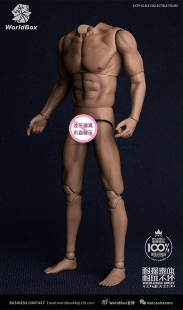 WORLDBOX AT017 1/6 Wide Shoulder Male Figure Body Fit Long Neck Head Model Toy