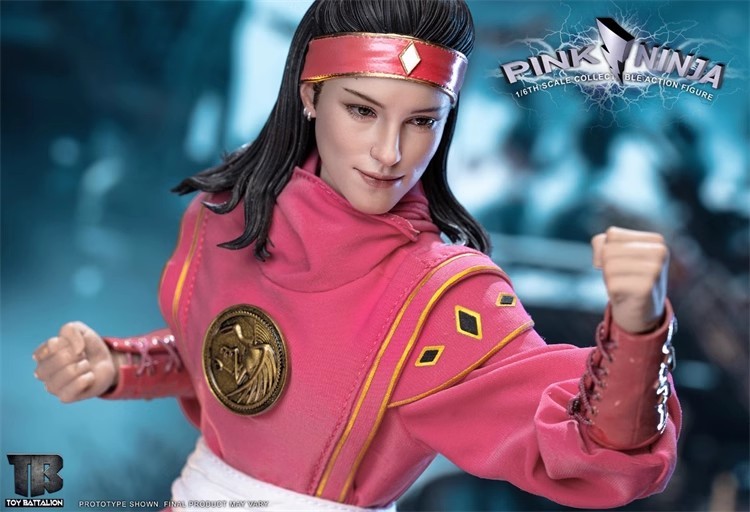 In Stock  TOYS BATTALION TB018 1/6 Female Pink Ninja Girl For 12" Action Figure Model
