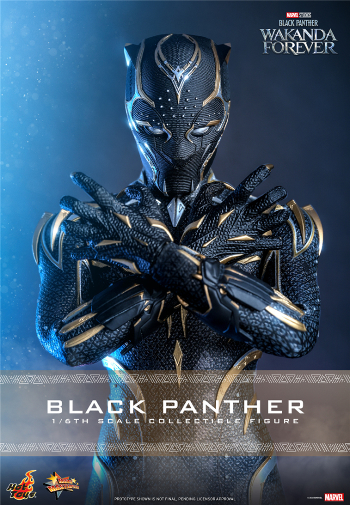 In Stock New Hot Toys MMS675 WAKANDA FOREVER 1/6 BLACK PANTHER ACTION FIGURE