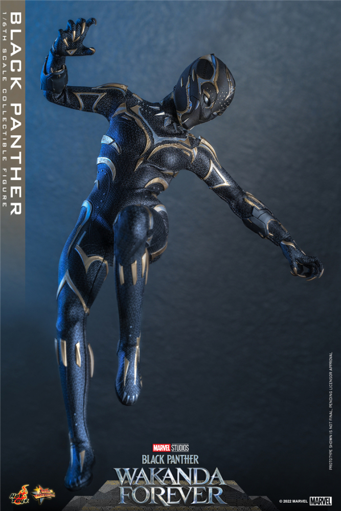 In Stock New Hot Toys MMS675 WAKANDA FOREVER 1/6 BLACK PANTHER ACTION FIGURE