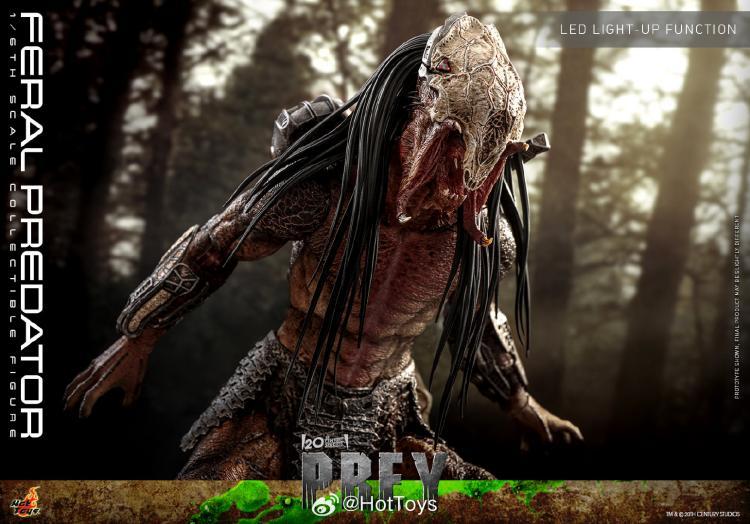 In Stock Hot Toys TMS114 The Prey Feral Predator 1/6 Scale Collectible Figure