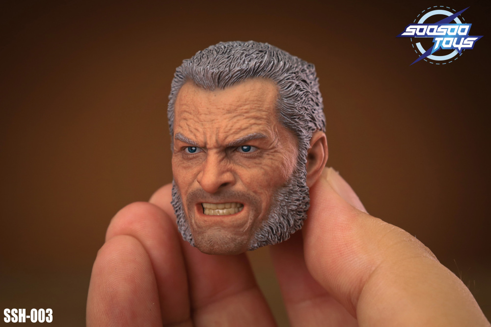In Stock SOOSOOTOYS 1/6scale collectible SSH-003:Old Logan