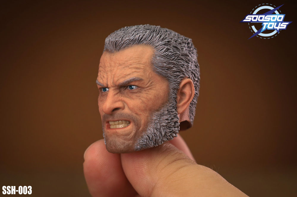 In Stock SOOSOOTOYS 1/6scale collectible SSH-003:Old Logan