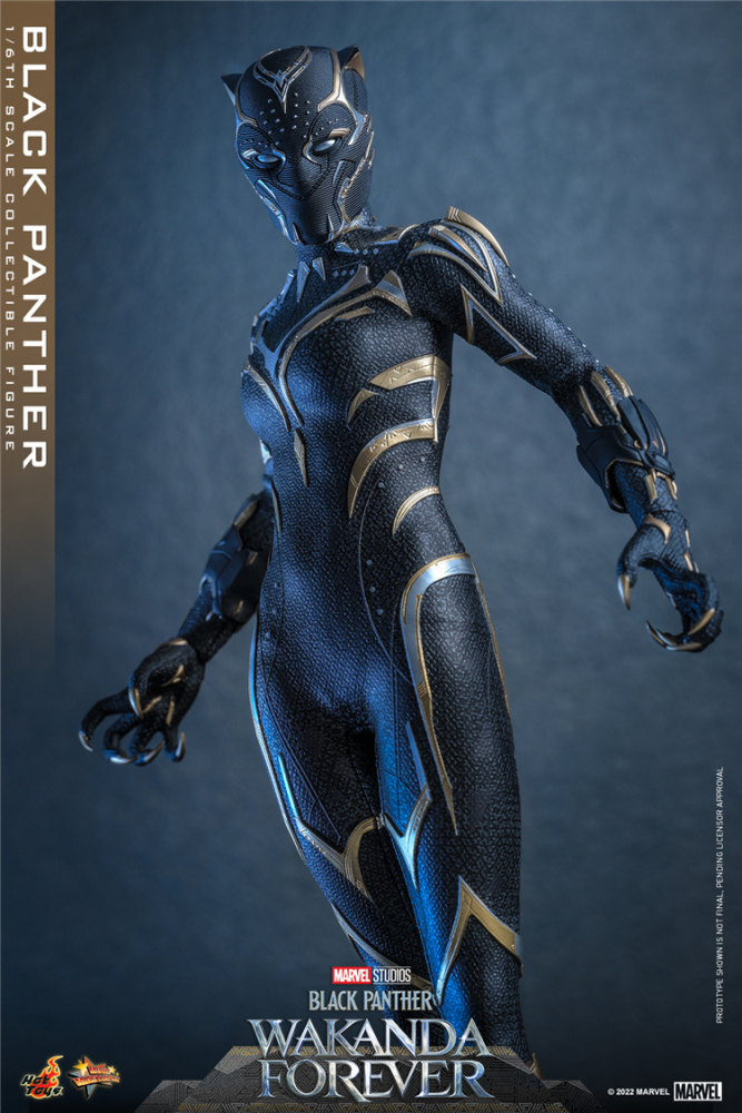 In Stock New Hot Toys MMS675 WAKANDA FOREVER 1/6 BLACK PANTHER ACTION FIGURE