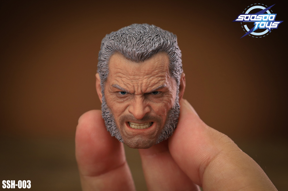 In Stock SOOSOOTOYS 1/6scale collectible SSH-003:Old Logan