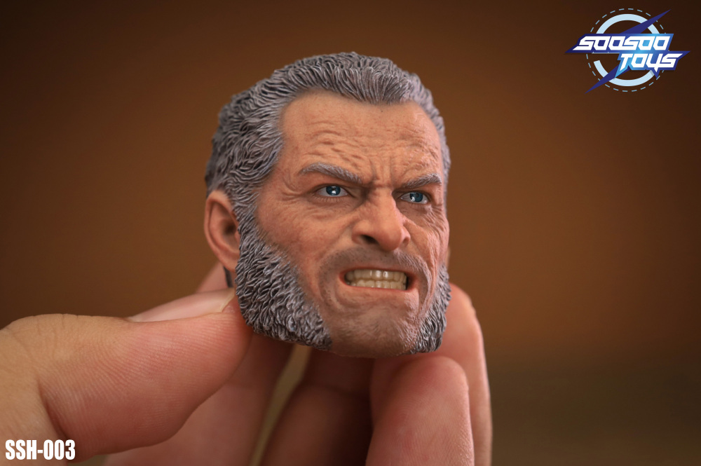 In Stock SOOSOOTOYS 1/6scale collectible SSH-003:Old Logan