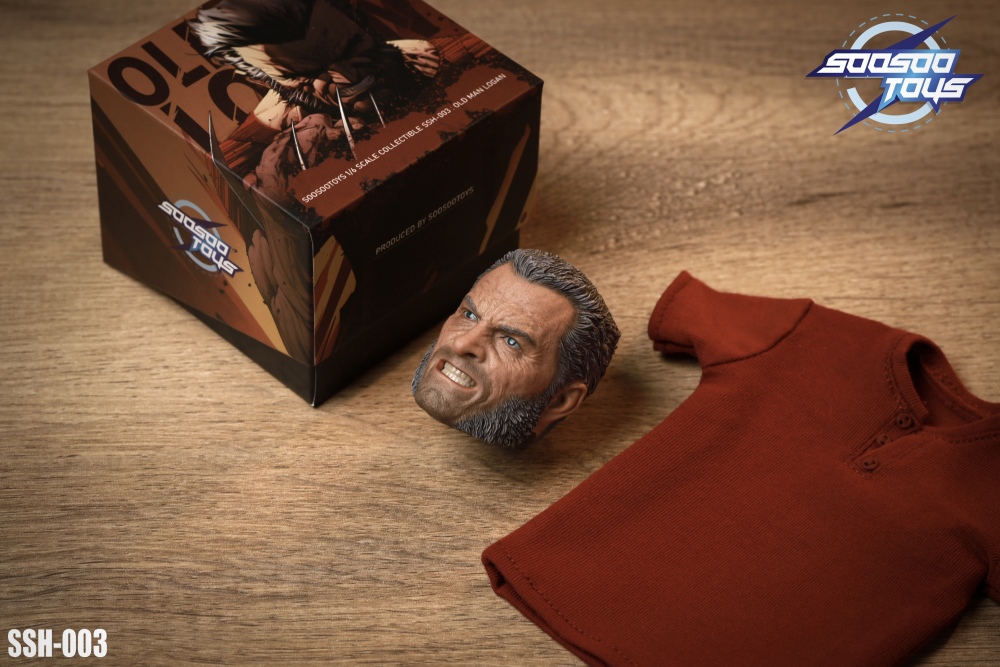 In Stock SOOSOOTOYS 1/6scale collectible SSH-003:Old Logan
