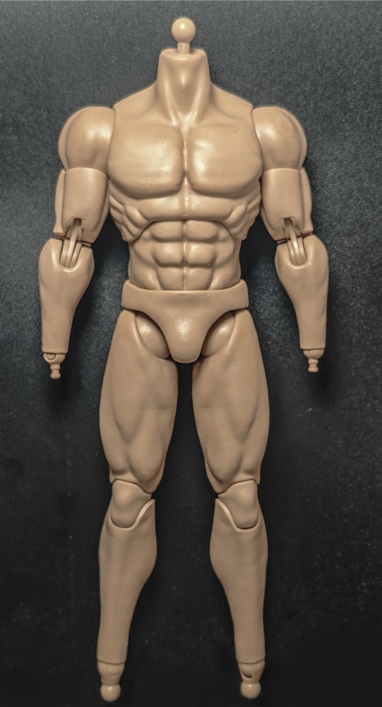 In Stock SSR 1/6  Muscular Male Action Figure Body