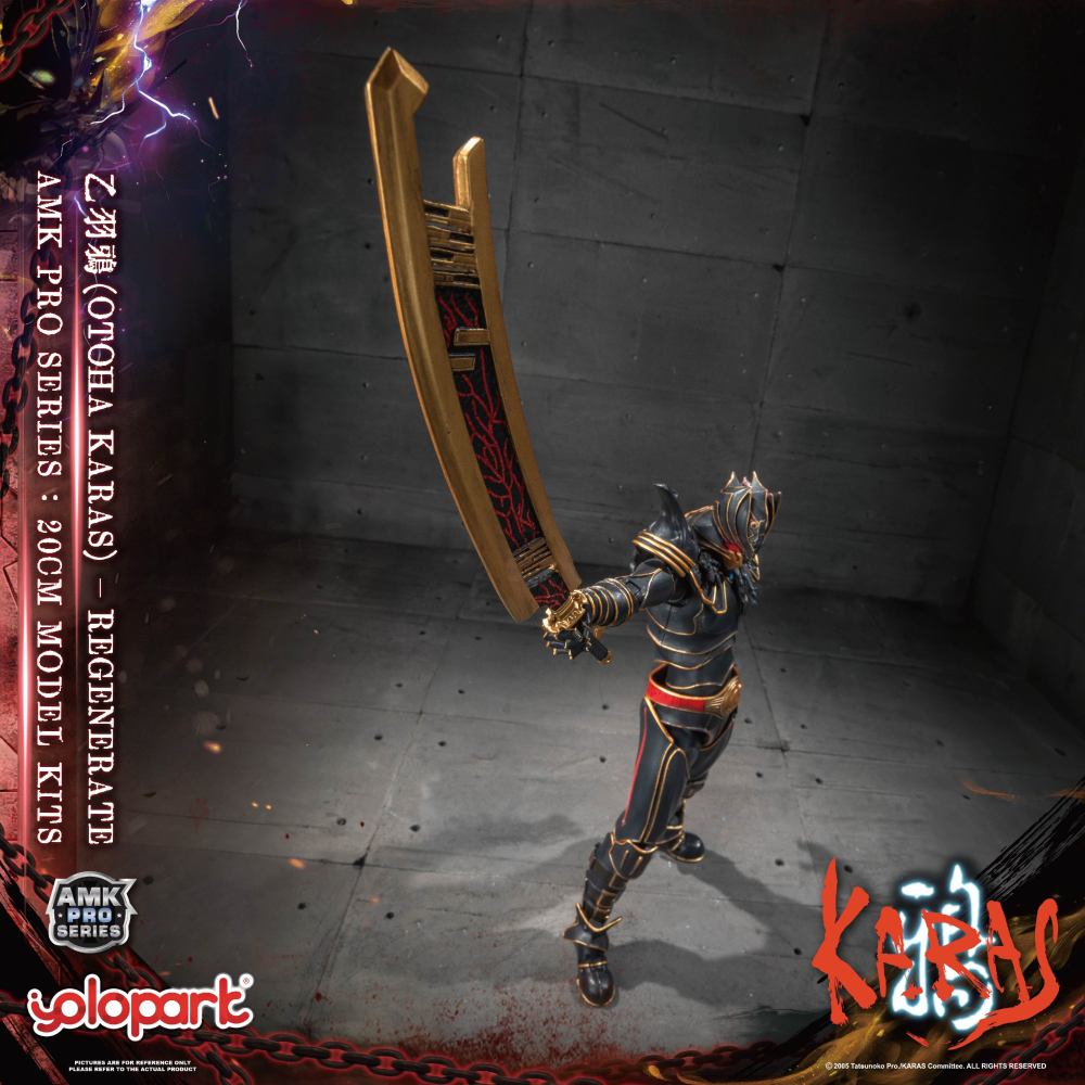 Pre-Sale  Yolopark AMK PRO KARAS New Edition