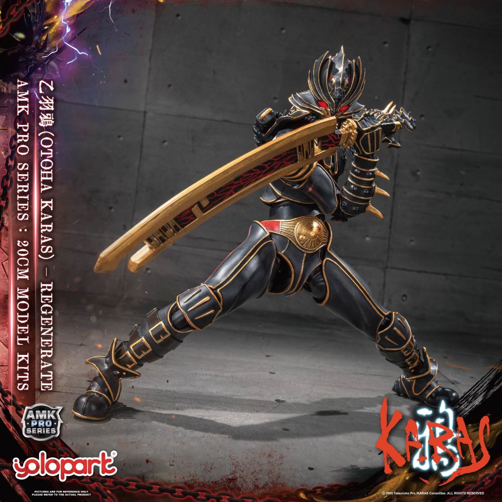 Pre-Sale  Yolopark AMK PRO KARAS New Edition