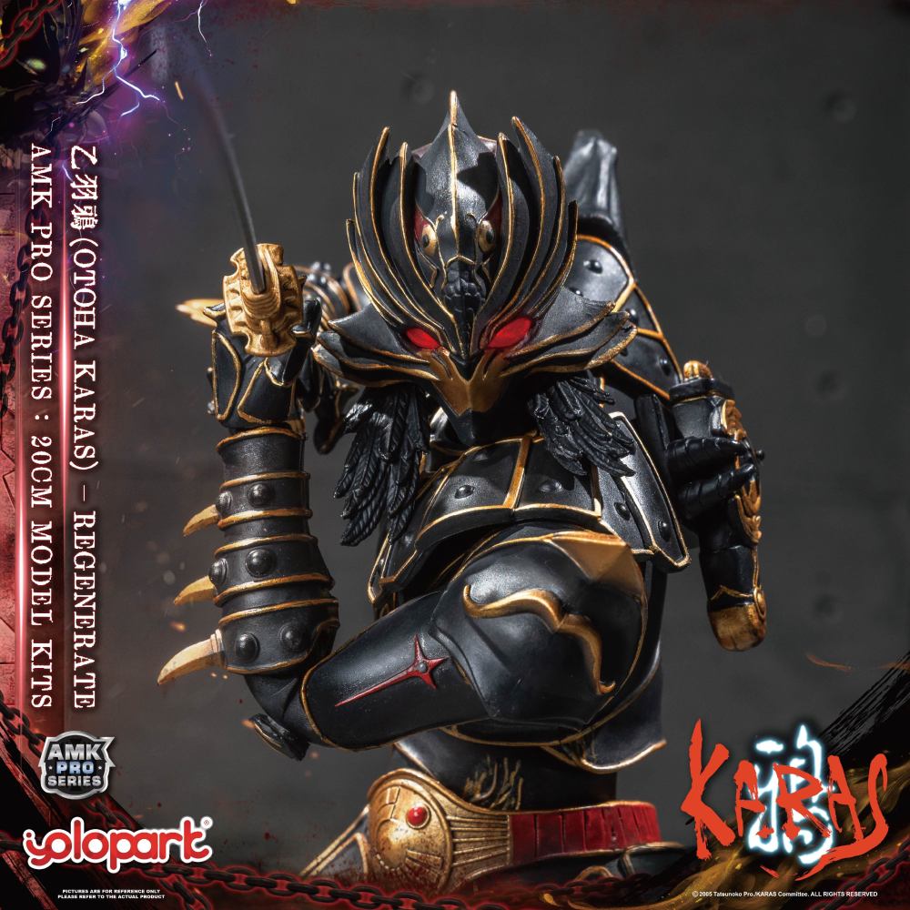 Pre-Sale  Yolopark AMK PRO KARAS New Edition