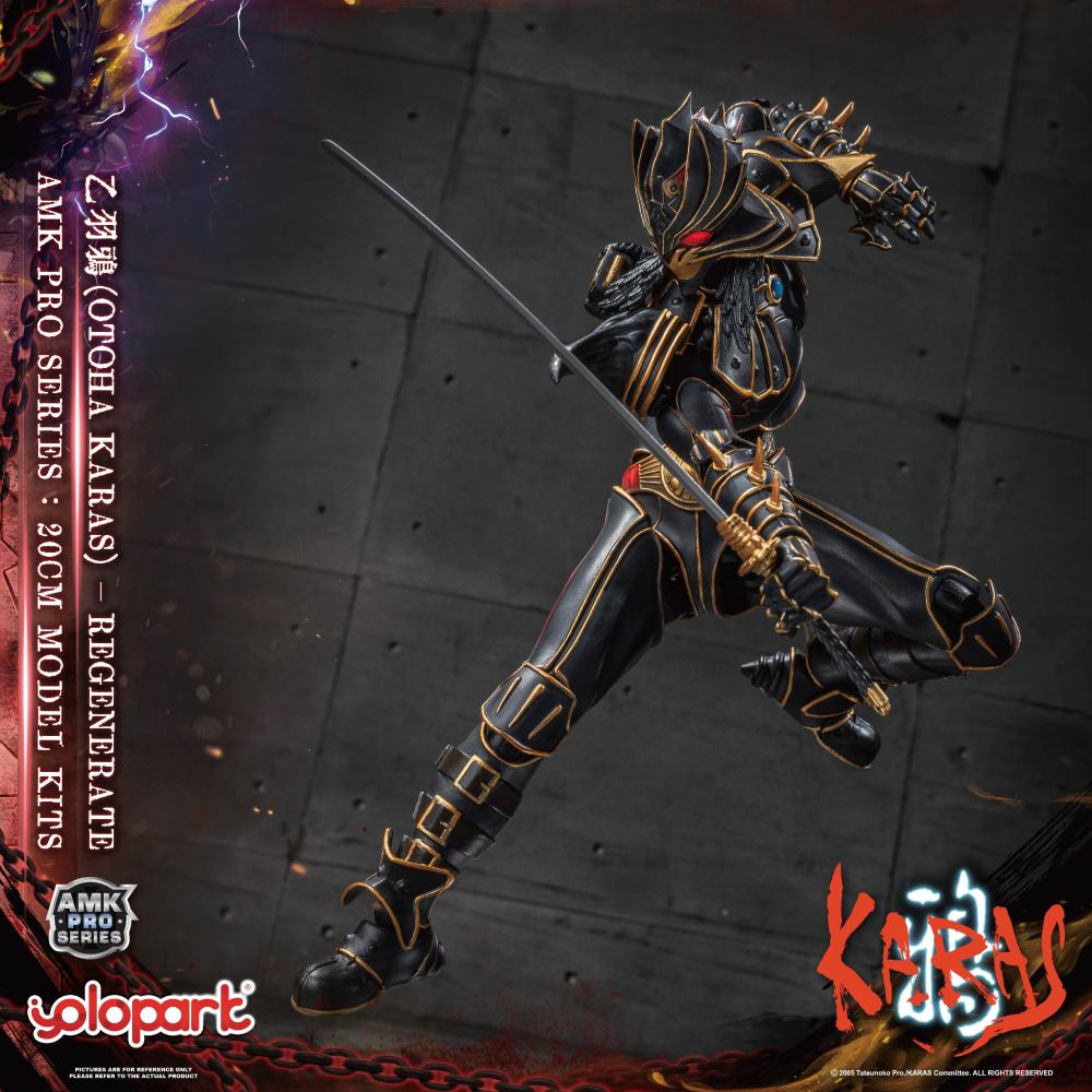 Pre-Sale  Yolopark AMK PRO KARAS New Edition