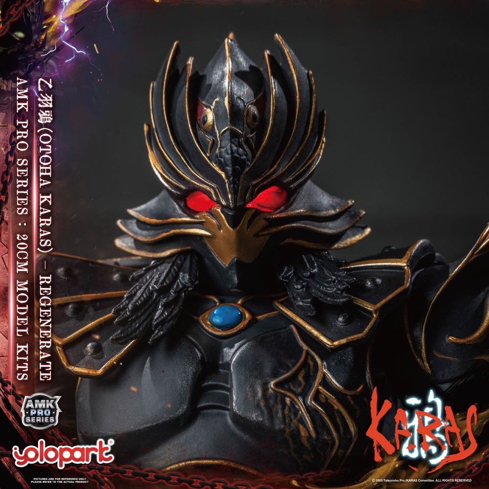 Pre-Sale  Yolopark AMK PRO KARAS New Edition