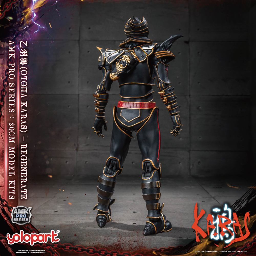 Pre-Sale  Yolopark AMK PRO KARAS New Edition