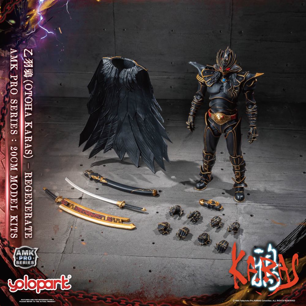 Pre-Sale  Yolopark AMK PRO KARAS New Edition