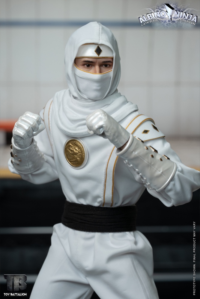 IN STOCK TOYS BATTALION TB011 1/6 White Tiger Ninja White Ninja Action Figure