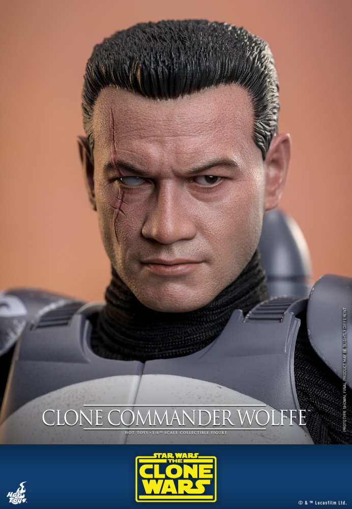 IN STOCK Hot Toys Tms141 Star Wars Commander Wolffe