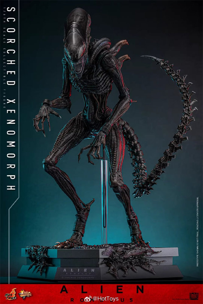 In Stock Hot Toys MMS784 Alien: Romulus Scorched Xenomorph 1/6 Figure