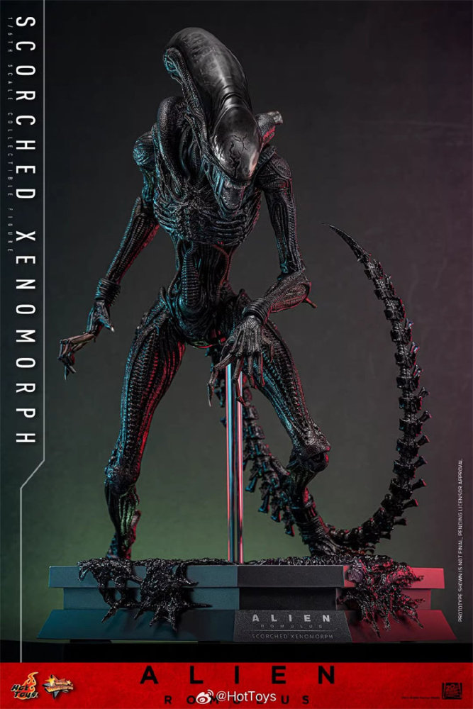 In Stock Hot Toys MMS784 Alien: Romulus Scorched Xenomorph 1/6 Figure