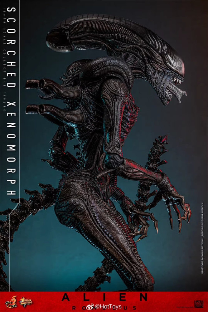 In Stock Hot Toys MMS784 Alien: Romulus Scorched Xenomorph 1/6 Figure