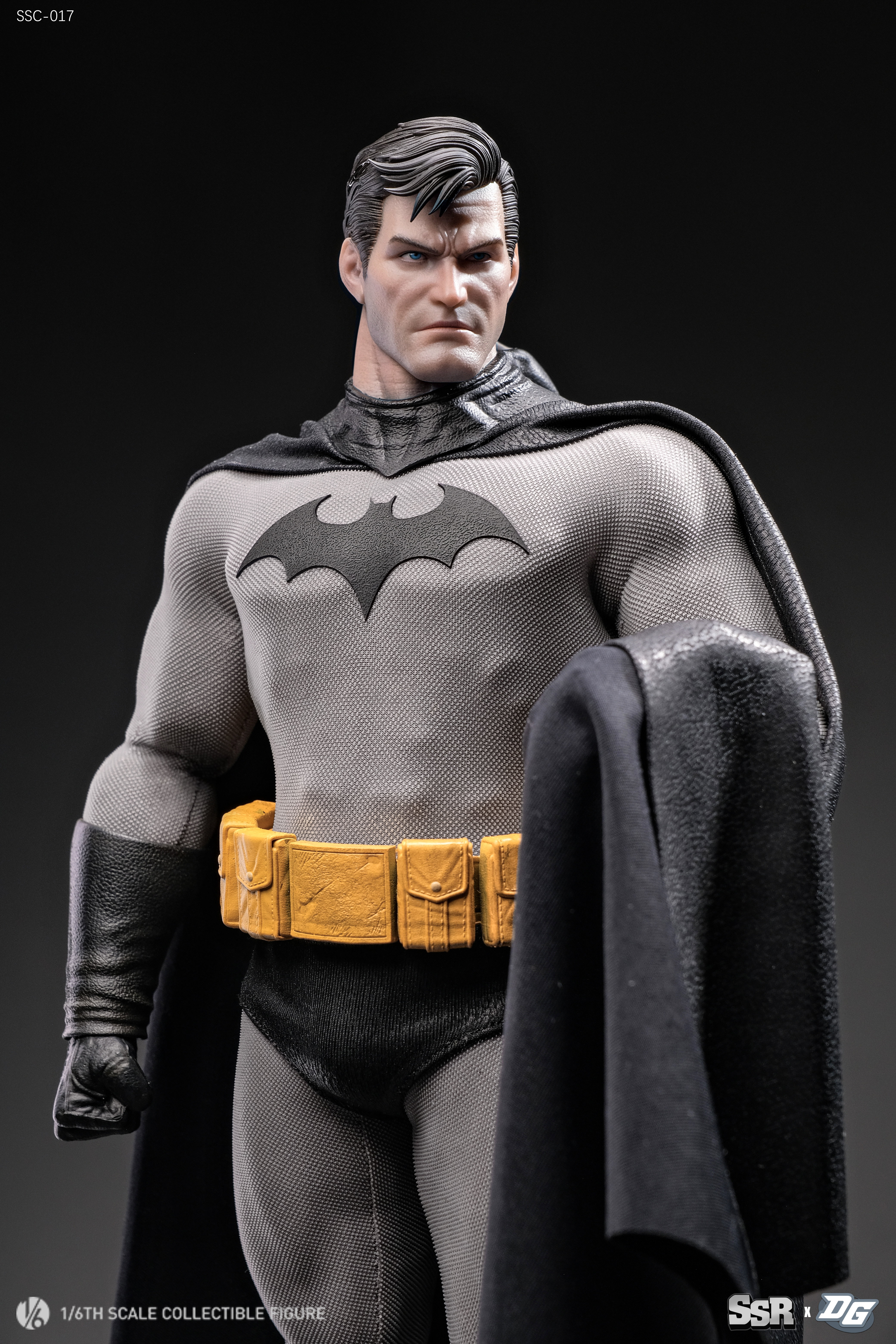 バットマン HUSH フィギュア 6体セット 未開封 Pre-order] SSR X DGtoys 1/6 SSC017 HUSH 2.0 Batman