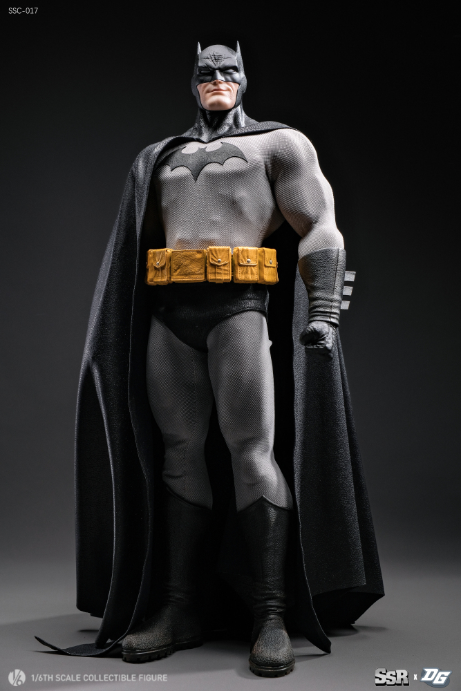 [Pre-order]  SSR X DGtoys 1/6 SSC017 HUSH 2.0  Batman