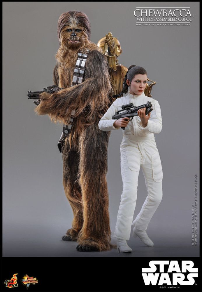 IN STOCK HOTTOYS HT 1/6 MMS766 Star Wars Episode V: The Empire Strikes Back C-3PO Chewbacca C-3PO