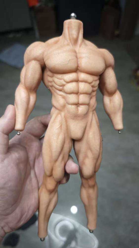 Pre-order  1/6 scale strong silicone body with steel skeleton