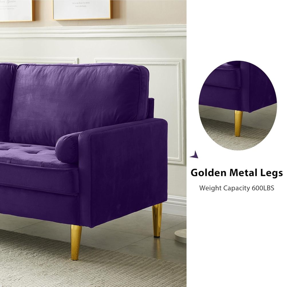 66" LoveSeat Sofa, Love Seat Couch, Mid Century Modern Couchs Velvet Fabric Pull Dot Design Sofas with Two Round Pillows for Small Spaces, Living Room, Dorm, Bedroom, Apartment