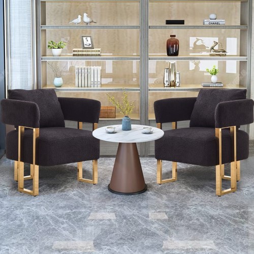 Modern Upholstered Chair Set of 2 Decorative Chair, Armchair Living Room Side Chair , Accent Chair Deep Seat Sofa Chair with Curved Backrest Golden Legs for Dressing Area, Reception Room, Office