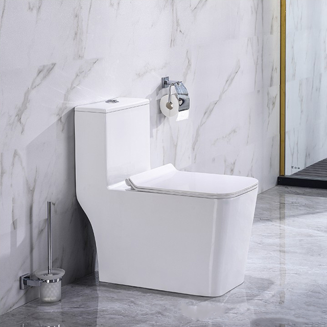 Wc Type Set Modern Design One Piece Toilet Wc Set Toilet