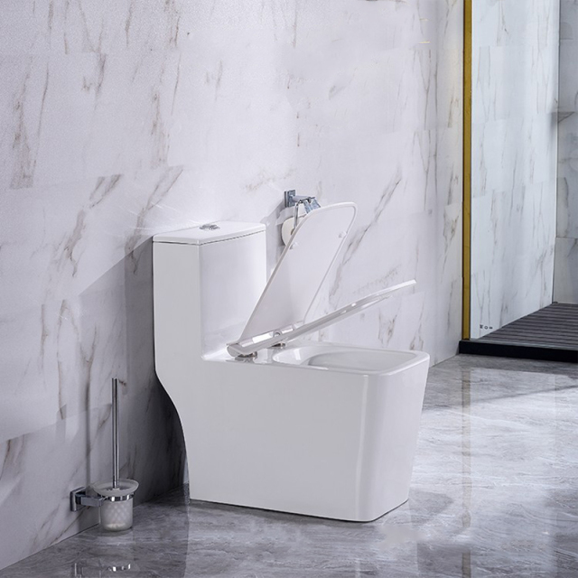 Wc Type Set Modern Design One Piece Toilet Wc Set Toilet