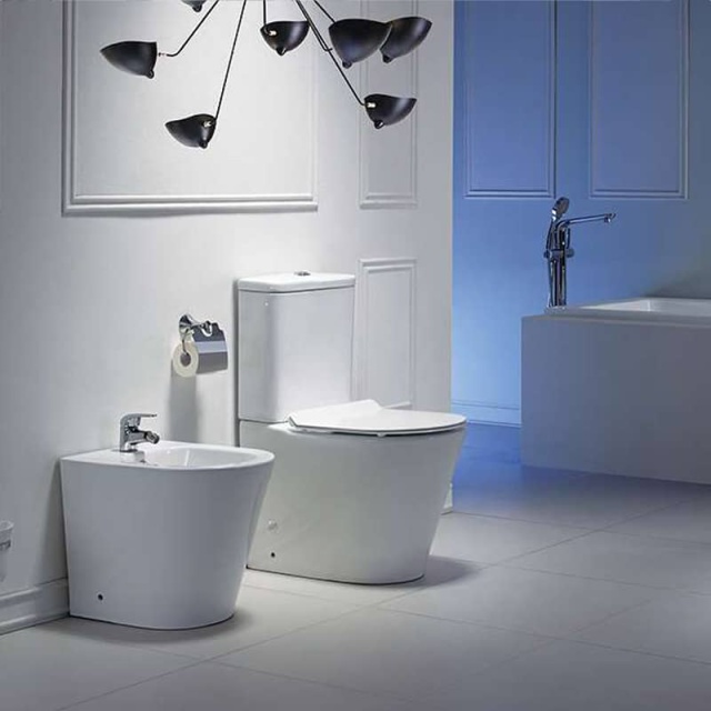 Wall hung bidet