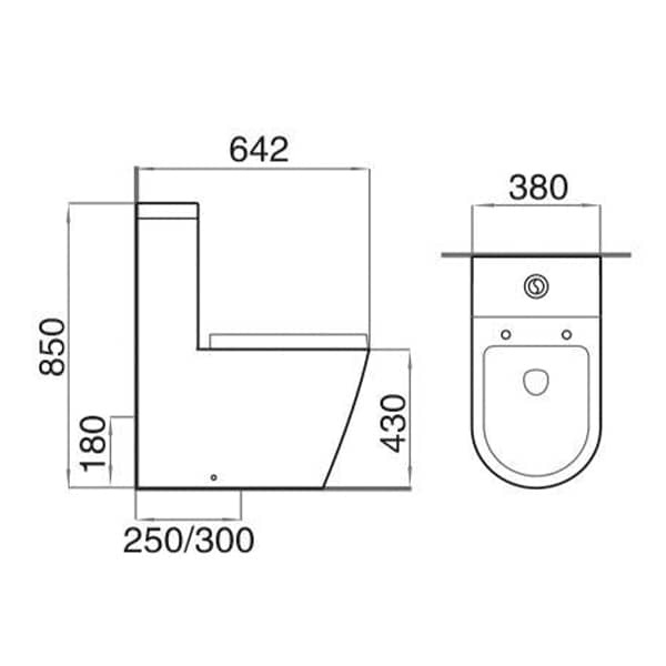 Washdown one piece toilet（Ultra-thin cover）