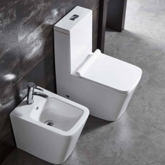 Washdown one piece toilet（Ultra-thin cover）