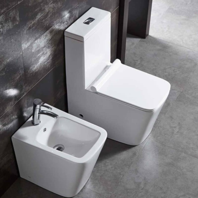 Washdown one piece toilet（Ultra-thin cover）