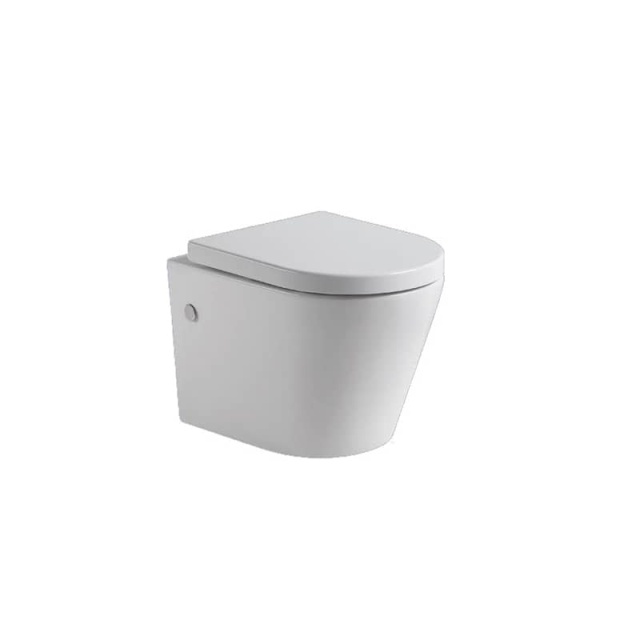 Washdown wall-hung toilet