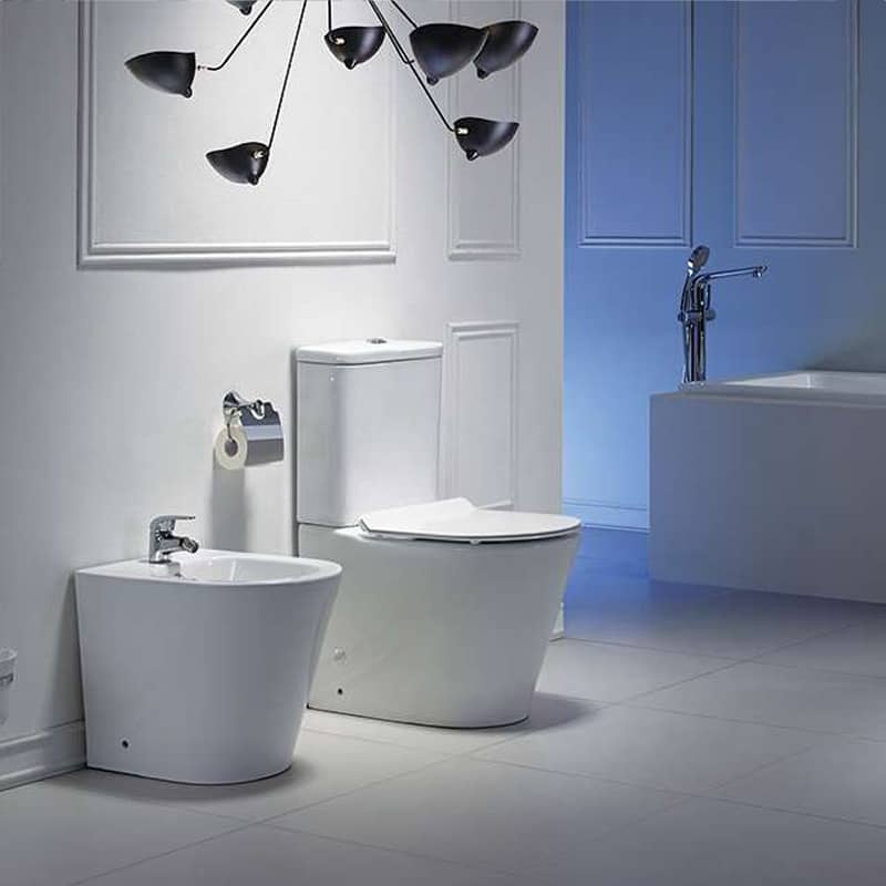 Washdown Floor mounted toilet