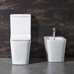 Washdown one piece toilet（Ultra-thin cover）